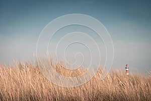 Lighthouse Bornrif Ameland, sea landscape, clear blue cloudy sky in the dunes, high dune grass