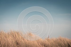 Lighthouse Bornrif Ameland, sea landscape, clear blue cloudy sky in the dunes, high dune grass