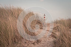 Lighthouse Bornrif Ameland, sea landscape, clear blue cloudy sky in the dunes, high dune grass