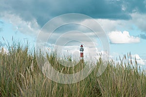 Lighthouse Bornrif Ameland, sea landscape, clear blue cloudy sky in the dunes, high dune grass