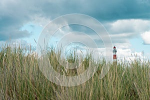 Lighthouse Bornrif Ameland, sea landscape, clear blue cloudy sky in the dunes, high dune grass