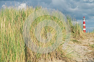 Lighthouse Bornrif Ameland, sea landscape, clear blue cloudy sky in the dunes, high dune grass