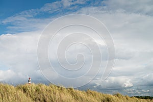 Lighthouse Bornrif Ameland, sea landscape, clear blue cloudy sky in the dunes, high dune grass