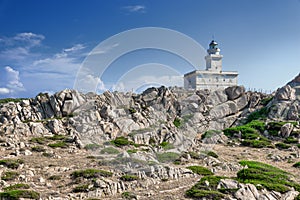 Lighthouse at the Capo Testa, Sardinia, Italy photo