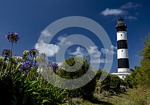 Lighthouse Of Chassiron,Oleron Island, Poitou Charente, Charente Maritime, France photo