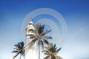 Lighthouse with clear blue sky and palm trees in Sri Lanka tourism port city Galle with colonial architecture