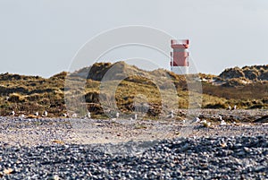 Lighthouse on the dune of Helgoland with seagulls and pebbles