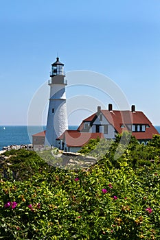 Lighthouse with dune roses