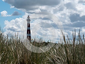 Lighthouse in the dunes of the island of Ameland  Hollum  Netherlands