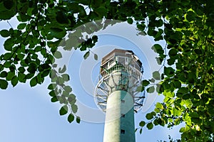 A lighthouse emerging from behind the trees.