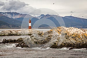 Lighthouse in the End of the World