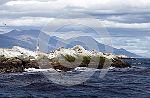 Lighthouse at the End of the World, Beagle Channel, Argentina