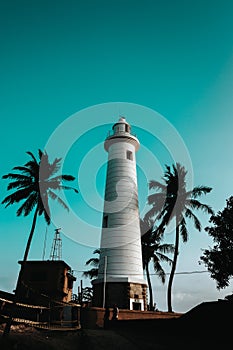 Lighthouse evening landscape in Galle fort, tall palm tree and clear blue skies around the white lighthouse