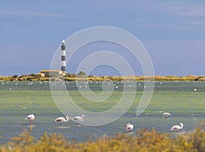 lighthouse Faraman, Salin de Giraud, Provence-Alpes-Cote d'Azur, France