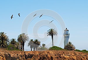 Lighthouse Formation