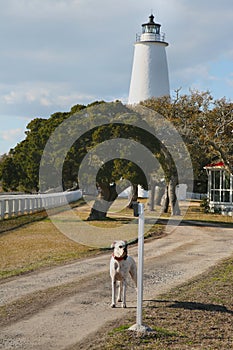 The Lighthouse Gardian