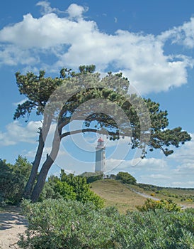 Lighthouse,Hiddensee,baltic Sea,Mecklenburg-Vorpommern,Germany