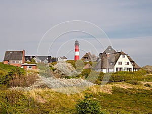 Lighthouse and holiday homes in Hornum dunes, Sylt island, North Frisia, Germany