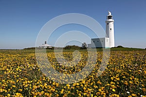 Lighthouse at Hurst castle