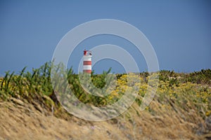 Lighthouse in Ilha Deserta photo