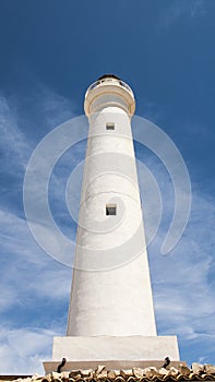 Faro 