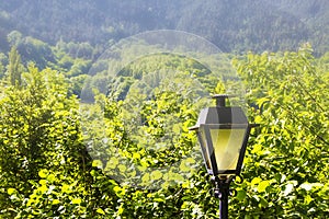 Faro en medio de Bosque en montana 