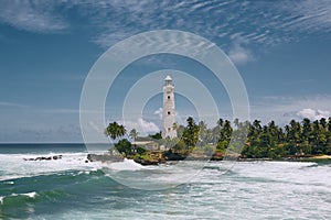 Lighthouse in the middle of palm trees