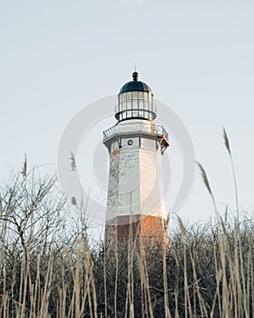 Lighthouse at Montauk Point State Park, the Hamptons, New York