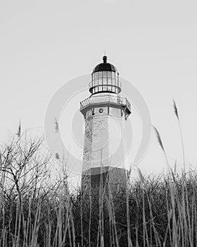 Lighthouse at Montauk Point State Park, the Hamptons, New York photo