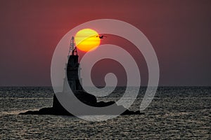 Lighthouse near Ahtopol, Bulgaria. Flying Bird