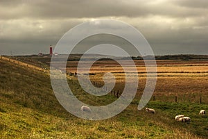 Lighthouse in netherlands