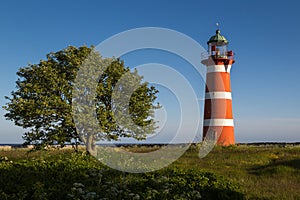 Lighthouse of NÃ¤rsholmen with tree under a cloudless sky in late afternoon sunlight, Gotland, Sweden