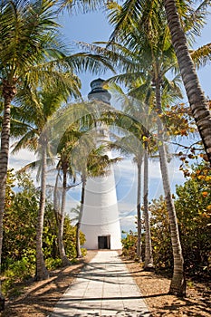 Lighthouse and palm trees