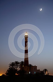 Lighthouse and palm trees