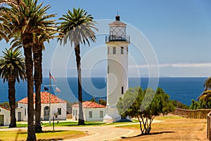 Lighthouse and Palms, Los Angeles, California