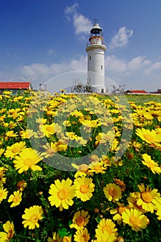 Lighthouse in Paphos photo