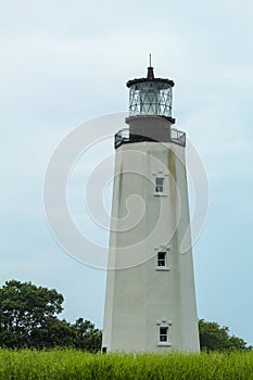 A lighthouse in a patch of bright green grass near Cape Henlopen, Delaware