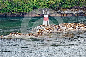 Lighthouse and sea lions on Quemada island - Beagle Channel