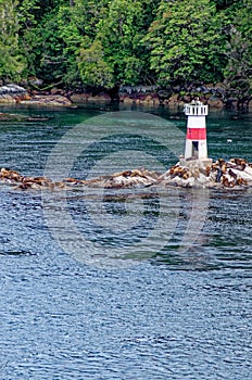 Lighthouse and sea lions on Quemada island - Beagle Channel