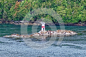 Lighthouse and sea lions on Quemada island - Beagle Channel