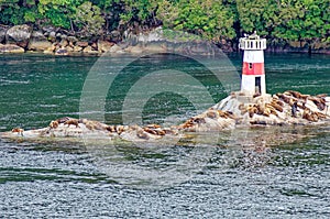 Lighthouse and sea lions on Quemada island - Beagle Channel