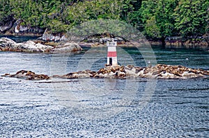 Lighthouse and sea lions on Quemada island - Beagle Channel