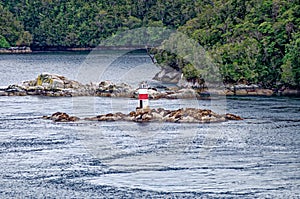 Lighthouse and sea lions on Quemada island - Beagle Channel