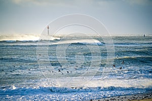 Lighthouse in the sea during windstorm with seagulls. blue sky a