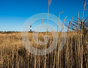 Lighthouse seen through beachgrass on a clear afternoon. Fire Island - Long Island New York