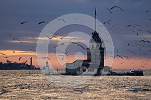 Lighthouse at sunset. A flock of seagulls. Maiden tower, Istanbul