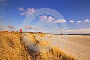 Lighthouse on Texel island in The Netherlands photo