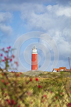 Lighthouse Texel Netherlands photo