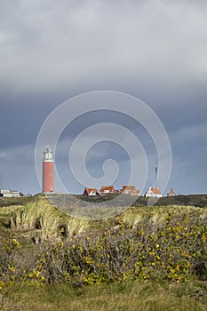Lighthouse Texel Netherlands photo