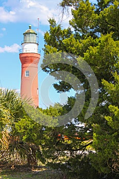 Lighthouse through the Trees at Mayport, Florida